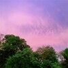 andrew_5882
